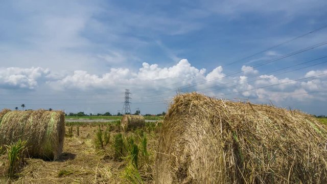 Time lapse of haystack role over moving clouds in paddy fields during harvest season