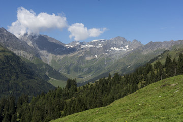 Fototapeta na wymiar Oberes Calfeisental - ein Sommertag in den Schweizer Bergen