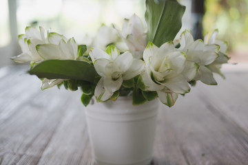 white siam tulip flower in vase on wood table. decoration and interior