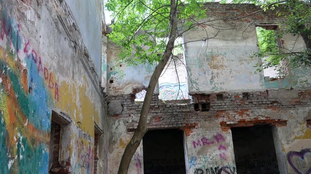 The old abandoned brick building with painted walls from the inside. Trees grow in the house