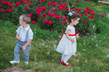 Children, boy and girl are playing on the grass near a bush of roses