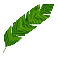 Banana leaf icon, cartoon style