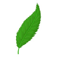 Leaf icon, cartoon style