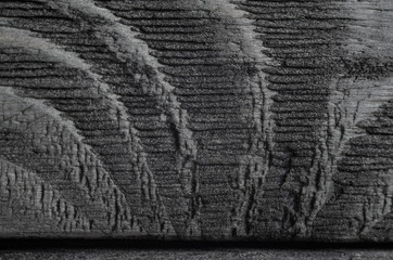Black Texture of the Structure of Undulating Wood Fibers. Macro Snapshot of Very Dark Texture of Black Shine Wood