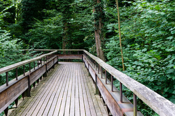 Fototapeta na wymiar mystic wood path in forest