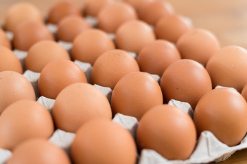 Chicken egg in package