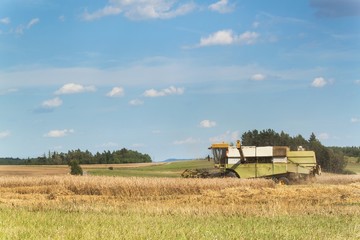 Fototapeta premium Combine harvester harvest ripe wheat on a farm in Czech Republic. Harvest time. Cultivation of grain on an agricultural farm.
