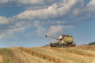 Fototapeta premium Combine harvester harvest ripe wheat on a farm in Czech Republic. Harvest time. Cultivation of grain on an agricultural farm.