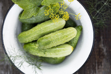 organic fresh cucumbers