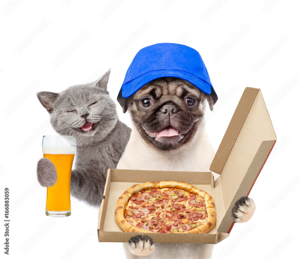 Poster funny happy cat with beer and pizza dealer puppy with open boxes. isolated on white background