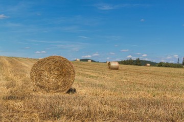 Fototapeta premium Straw bales on the stubble in the Czech Republic. Agricultural landscape, Harvest time.