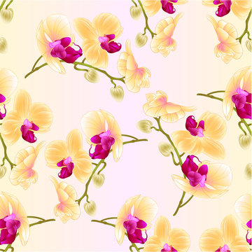 Seamless texture beautiful  Orchid Yellow stem with flowers and  buds closeup vintage  vector editable illustration hand draw