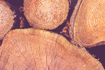 Round firewood stacked in a row for the background