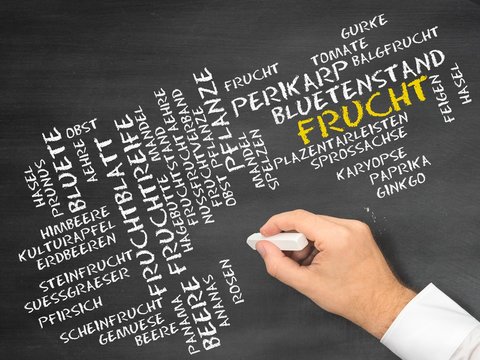 Frucht