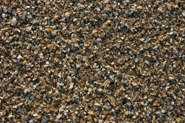 The close up of the sand with the shells on the sea shore