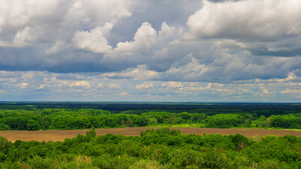 Fototapeta premium Spring landscape - in May forest and field.