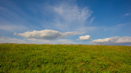 Fototapeta premium Spring landscape - clouds and field in the steppe.