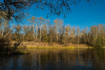 Autumn October is a river and a forest.