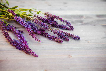 Sage flower on a wooden texture, background
