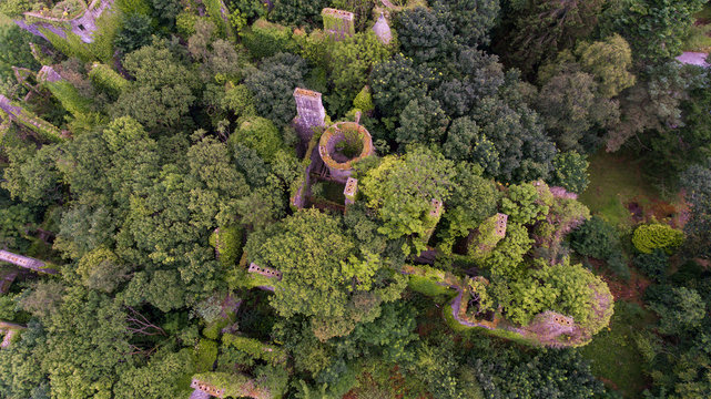 Aerial view of ruined castle with chimneys and turret overgrown with trees