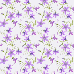 Bell flower - Campanula patula. Seamless pattern.
Hand drawn digital illustration of purple wildflowers scattered over white background.