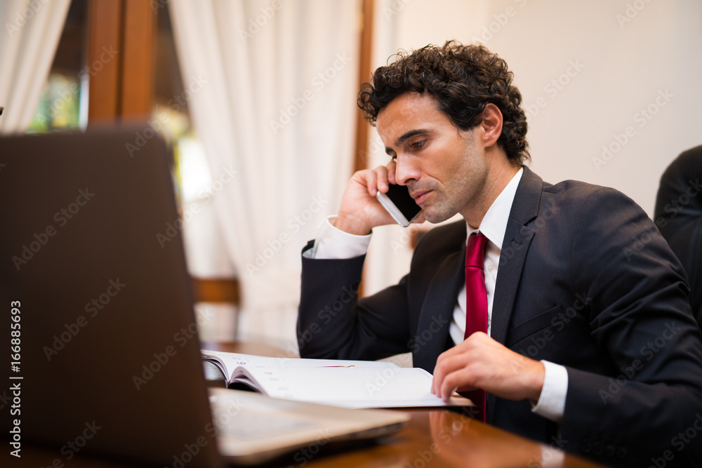 Canvas Prints Businessman talking on the phone