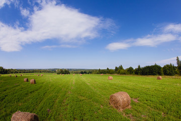 Straw bales in a field