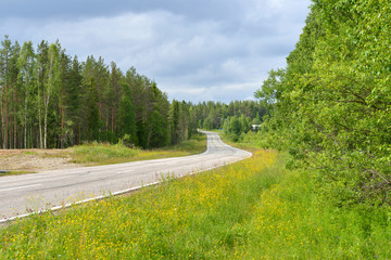 Fototapeta na wymiar Road goes into distance. Finnish Lapland. Summer