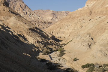 Wadi Arugot River, ein Gedi nature reserve, dead sea, Israel