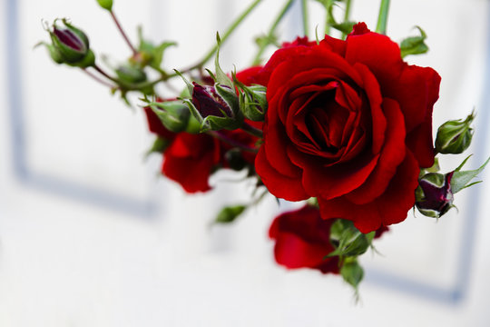 Rote Rosen, romantisch, Karte