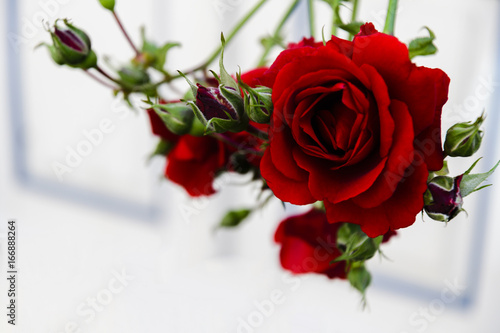 500_F_166888264_OLi2M6oPoPRonIvANMgyVZW01DoL5MNJ.jpg