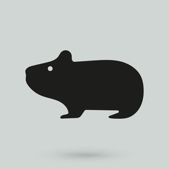 hamster icon