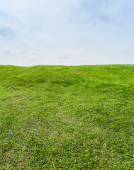 Obraz na płótnie Canvas Beautiful Green grass field on small hill and blue sky