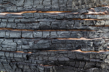 Charred wood texture