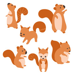 Set of cute squirrels