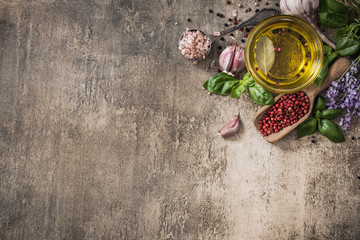 Fresh herb and spices border background