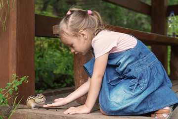 Little girl feeding a chipmunk outdoors