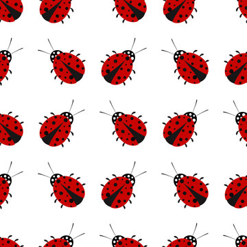Ladybird on a white background. Seamless pattern.