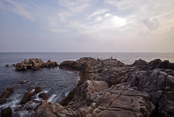 Sea of South Japan and Angler