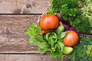 Basket with fresh vegetables close-up. Cucumbers, fudge, dill, parsley, mint. Season harvesting. Copy space  left.