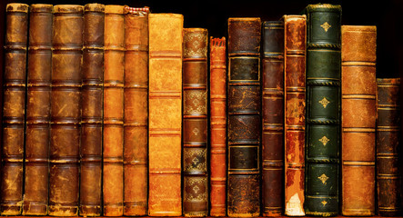 Fototapeta premium Cultural heritage. Ancient libraries 1