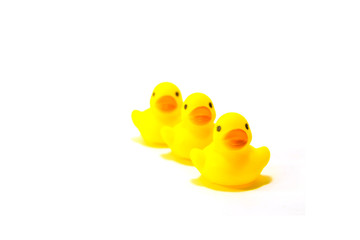 Three rubber duck in line on white background,selective focused on first duck
