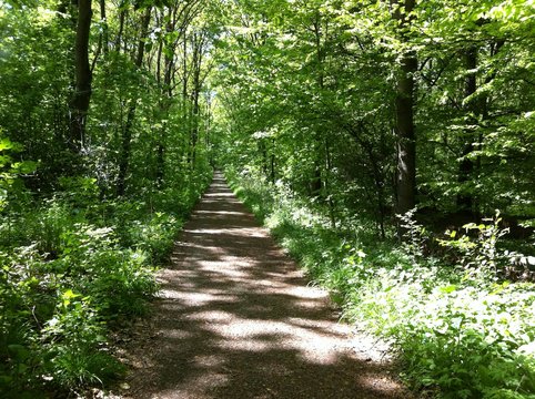 Licht und Schatten