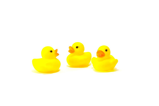 Three rubber duck on white background