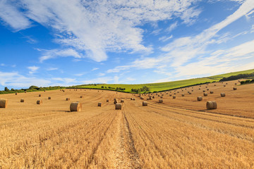 Fototapeta na wymiar Landscape with Hay Bales