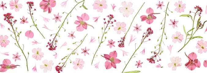 Stickers pour porte Fleurs pétales de fleurs roses et feuilles