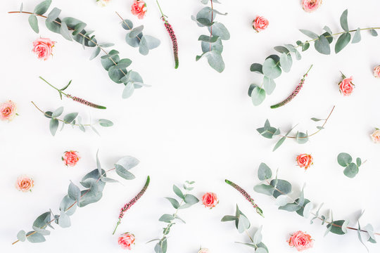 Flowers composition. Round floral frame made of rose flowers and eucalyptus branches on white background. Flat lay, top view, copy space