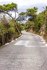 Enge Landstraße in wilder Landschaft