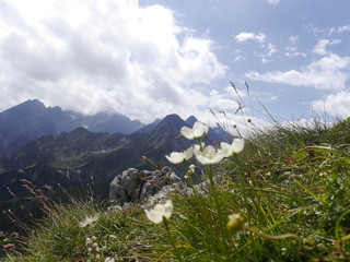 Europa.Tatry  Wysokie,widok z Tatr Bielskich © barbara