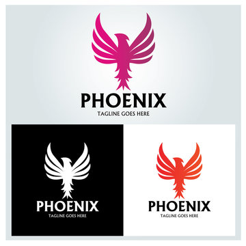 Phoenix Logo design template. vector illustration